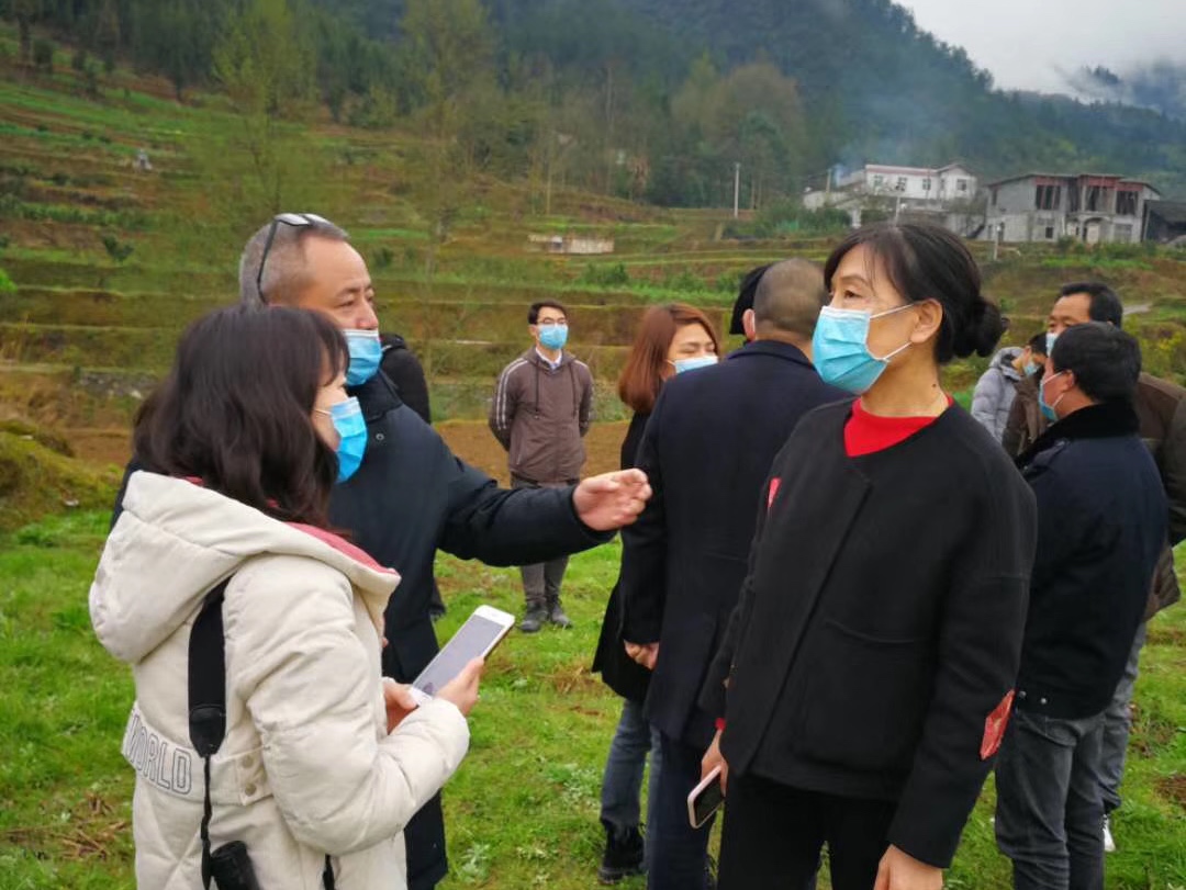 微信图片_20200312204440.jpg 微信图片_20200312204440.jpg