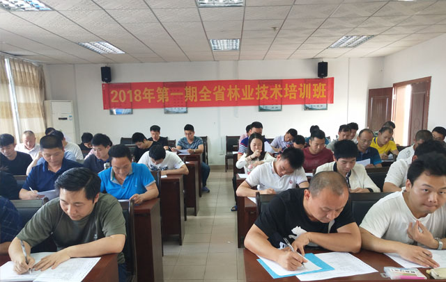 传网站8.jpg