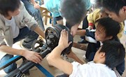 汽车底盘拆装实训