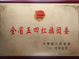 2017年全省五四红旗团委