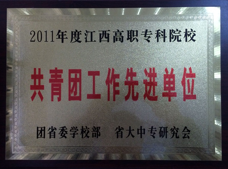 2011年度江西省共青团工作先进集体.jpg