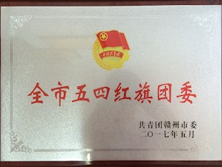 2017年全市五四红旗团委