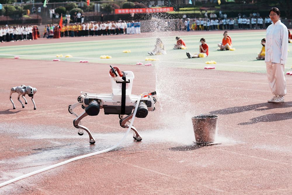 d2d7c03760534b44874d1ea2e52e63f8.JPG d2d7c03760534b44874d1ea2e52e63f8.JPG