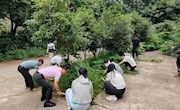 “除草护绿 党员先行”——汽车专业学生党支部开展义务劳动