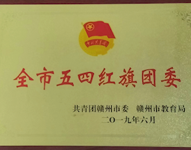 2019年全市五四红旗团委