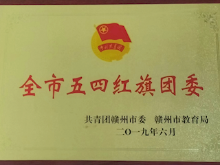 2019年全市五四红旗团委
