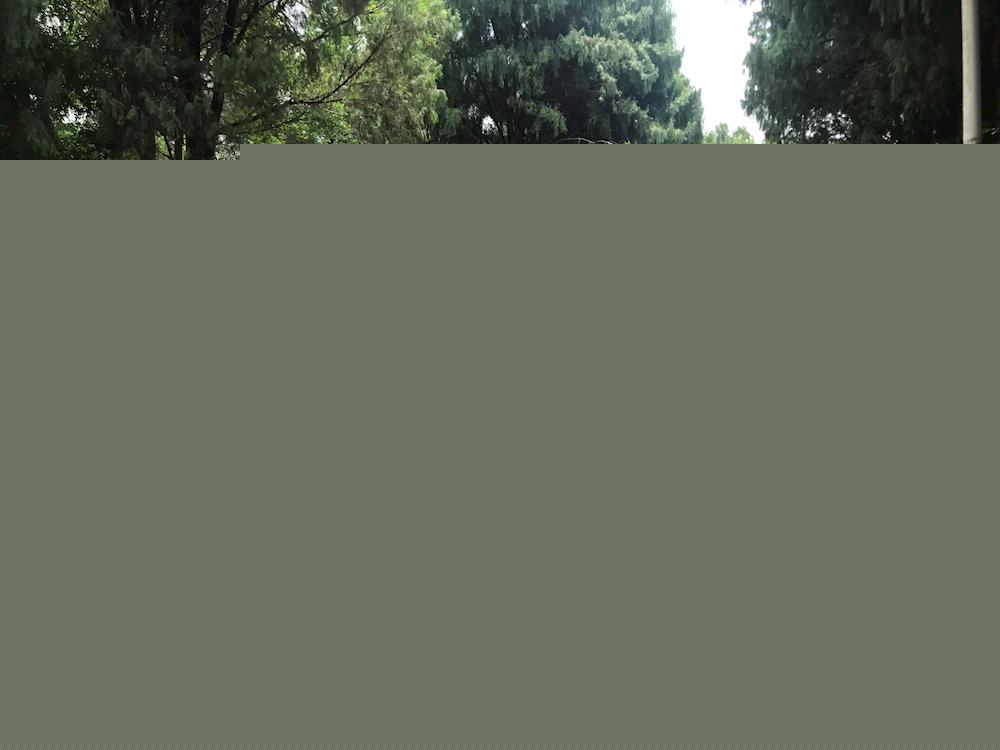 a64d82130a8e4ba58d5b95d524139db4.jpg